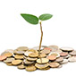 Incorporation of a Subsidiary Company in India