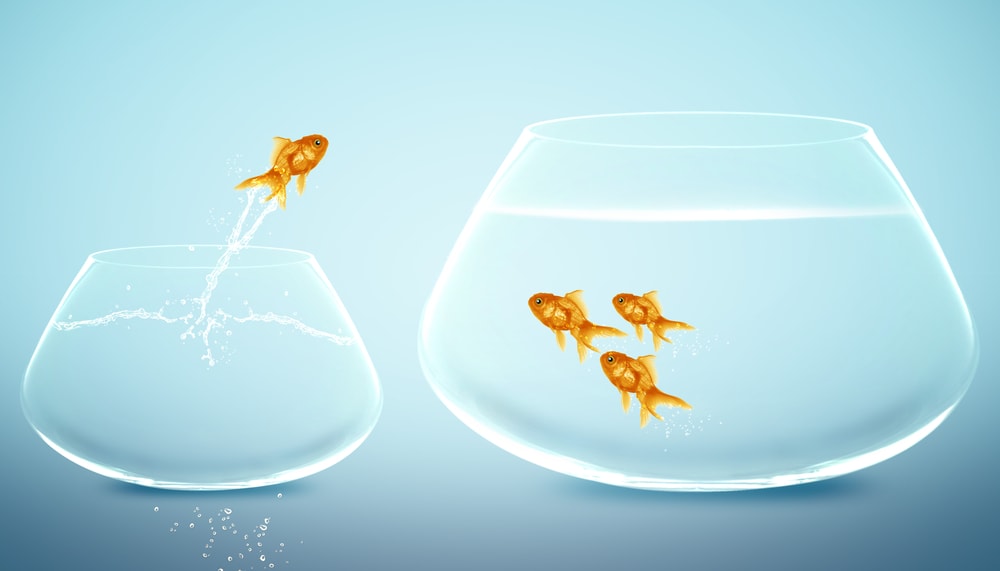 Private Limited Company Registration - Ventureasy.com