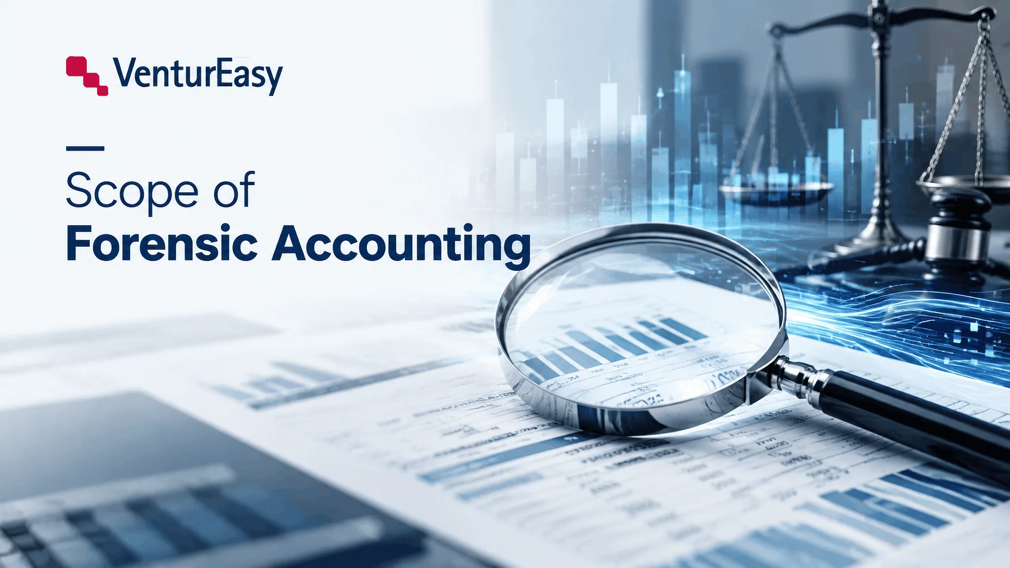 Scope of forensic accounting cedeaab7